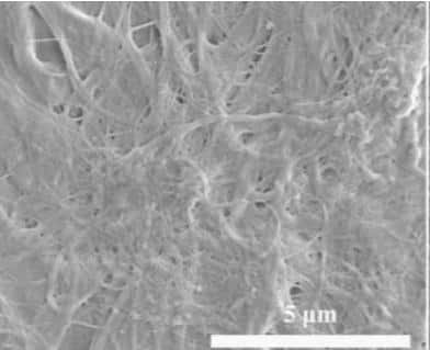 Fig.6 Internal structure of calcium silicate boards with reinforcing fibers