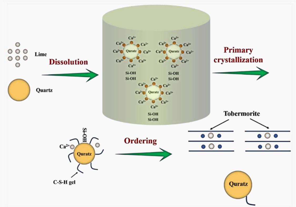 Reaction mechanism of Tobermorite