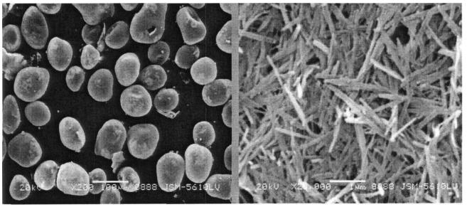 SEM images of hard caliche at 500x and 2000x